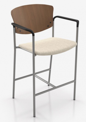 Bariatric Stool Wooden back Arms