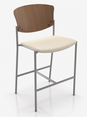 Bariatric Stool Wooden Back